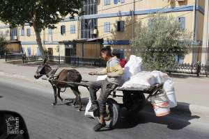Le rôle de l'ane dans le patrimoine algérien
