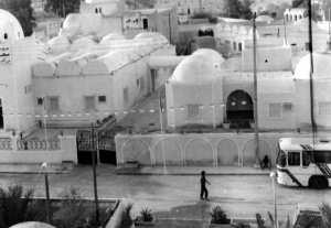 قبائل الهمامة