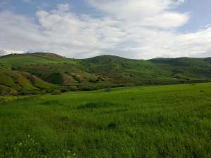 سيدي لزرق بلدية جزائرية تقع جنوب غرب ولاية غليزان