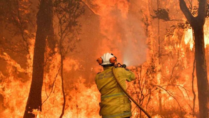 La science relie les feux de forêt au changement climatique