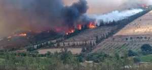 Algérie - Feux de forêts: Etat d'alerte maximale en raison de la hausse des températures