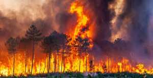 Planète (France/Europe) - Incendie en Gironde: Emmanuel Macron promet des avions supplémentaires contre les feux