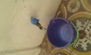 'ELFEHOUL sans eau .