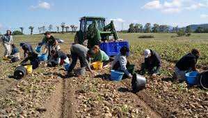 Chômage à ELFEHOUL