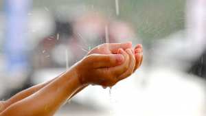 Planète - Pourquoi ne faut-il plus boire l'eau de pluie ?