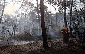 Planète (France/Europe) - Feux de forêt: Plus de 47.000 hectares brûlés depuis le début de l’année, un record