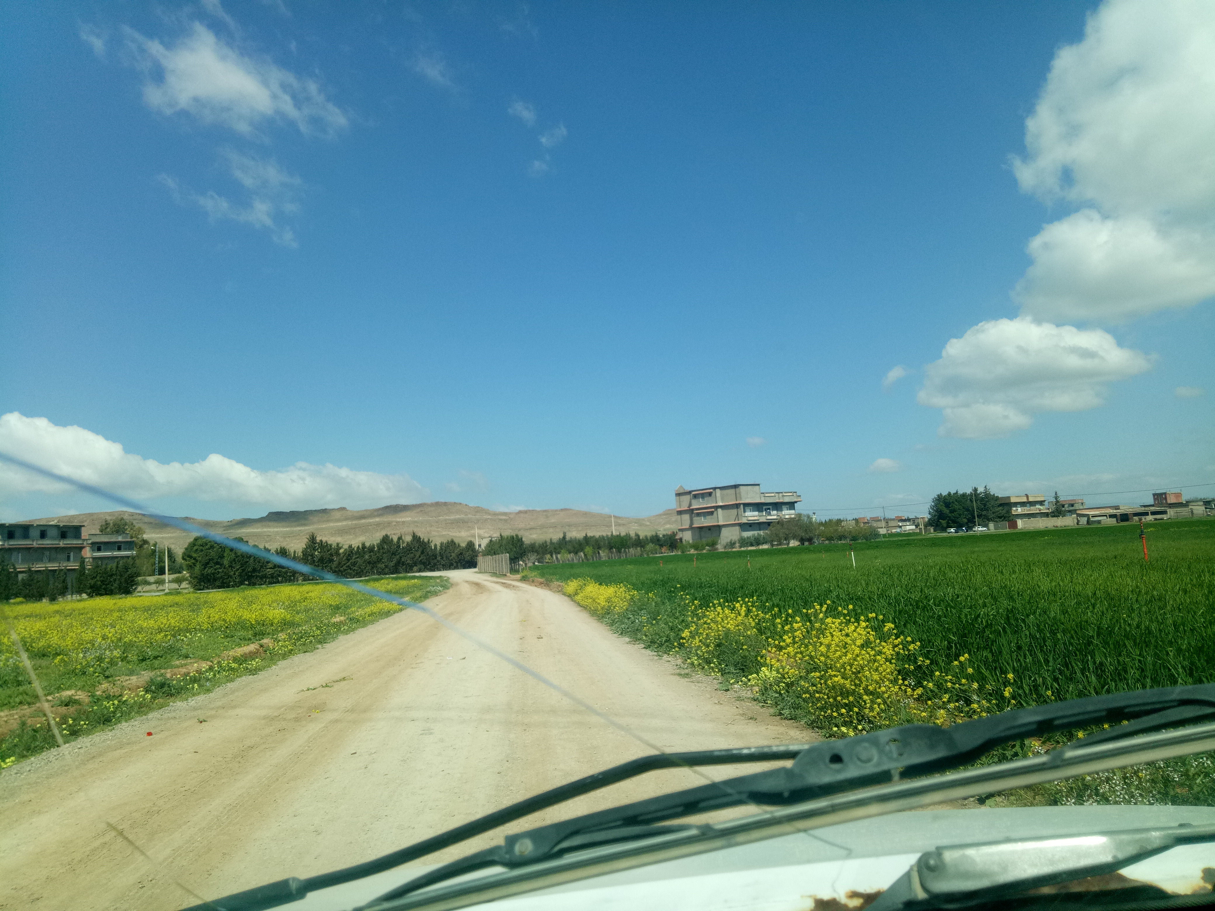 أنساب أولاد بوطارة