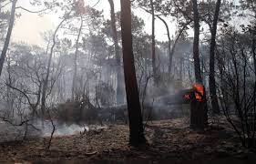 Planète (France/Europe) - Feux de forêt: Plus de 47.000 hectares brûlés depuis le début de l’année, un record