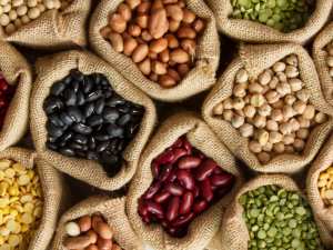 Le Premier ministre annonce l'arrêt des importations des semences maraîchères à partir de l'année prochaine