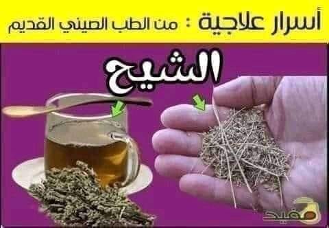 عشبة الشيح ..!