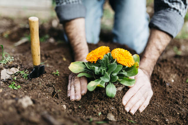 Planète (France/Europe) - Arrosage, plantes...Face aux canicules, votre jardin va devoir s’adapter