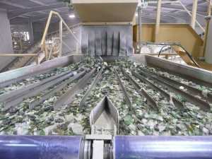 Algérie (Tigzirt/Tizi Ouzou) - La récupération et le recyclage du verre en débat