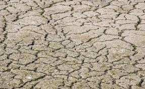 Planète (Asie) - En pleine canicule, la moitié de la Chine souffre de sécheresse