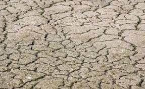 Planète (Asie) - En pleine canicule, la moitié de la Chine souffre de sécheresse