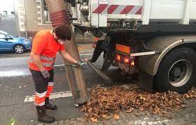 Planète (France/Europe) - Avec le dérèglement climatique, «on ramasse déjà des feuilles mortes depuis la mi-août !»