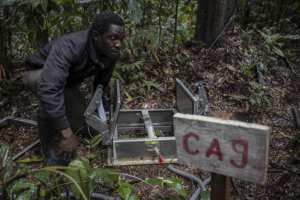 Planète (Afrique) - En RDC, scientifiques et paysans au chevet du bassin du Congo, deuxième «poumon vert» de la planète