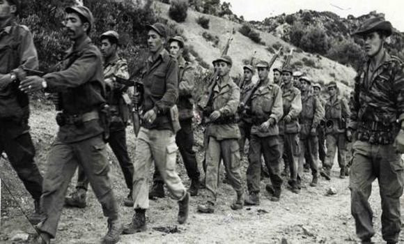 La cause algérienne a joui d'un grand soutien diplomatique arabe avec le déclenchement de la guerre de libération