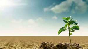 L’innovation et le changement climatique