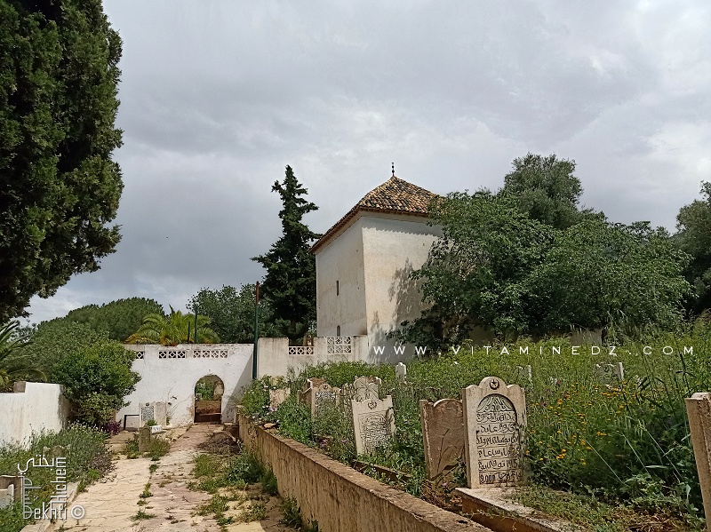 العائلات التلمسانية ودورها في الحفاظ على وثائق الشيخ ابن يوسف السنوسي المخطوطة