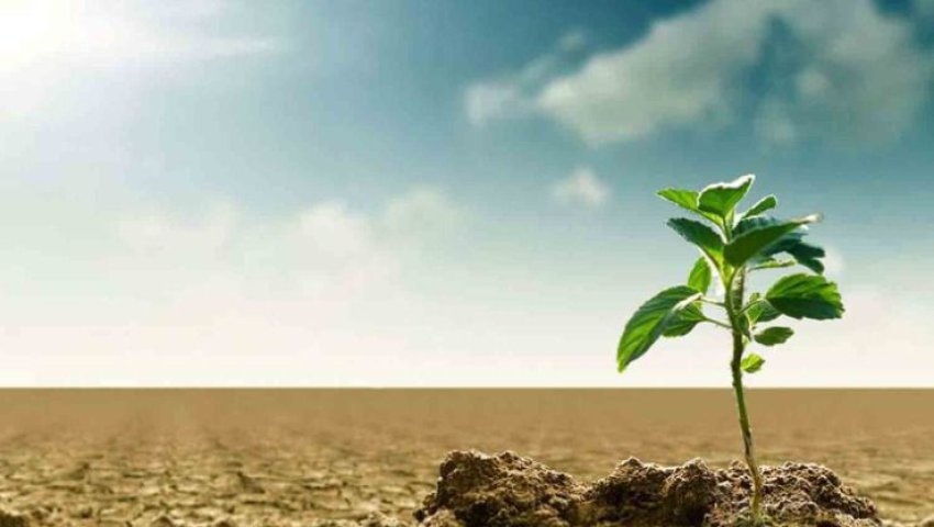 L’innovation et le changement climatique