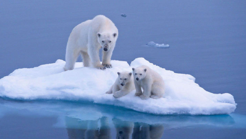 Menace sur la sécurité mondiale Les 7 impacts du réchauffement climatique