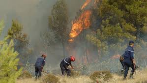 Chlef, Jijel, Boumerdès: Les incendies reprennent