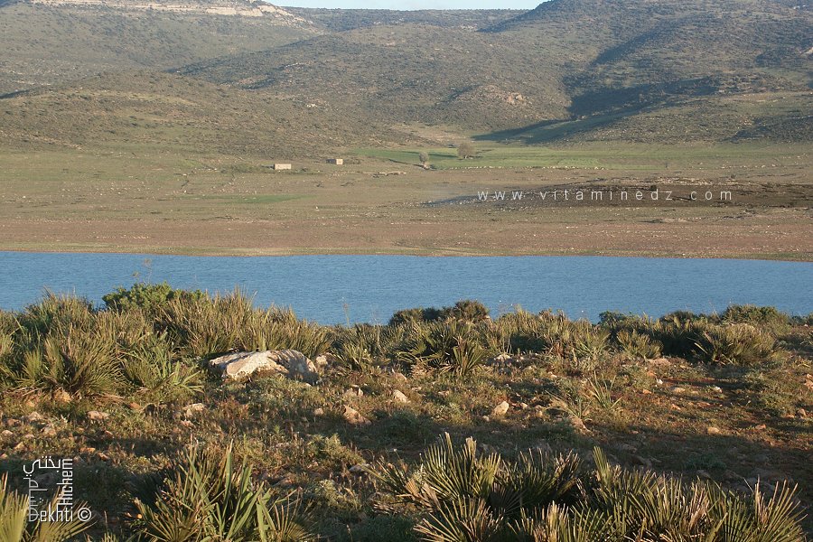 Tlemcen: Le barrage Mefrouch, un site touristique incontournable