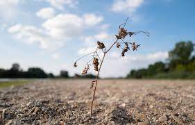 Planète - Changement climatique: Un rapport de l’ONU pointe l’accélération du réchauffement à l’ouverture de la COP27
