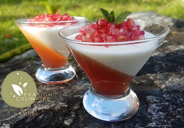 VERRINES À L’HIBISCUS, GRENADE ET YAOURT AU GINGEMBRE