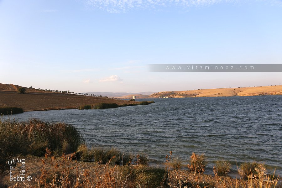 Contribution à l’évaluation de l’impact sur l’environnement du barrage sikkak (nord ouest Algerien)