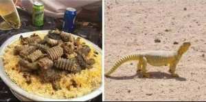 فوائد لحم الضب