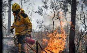 Planète - Feux de forêt: Record de surfaces brûlées en Europe en 2022
