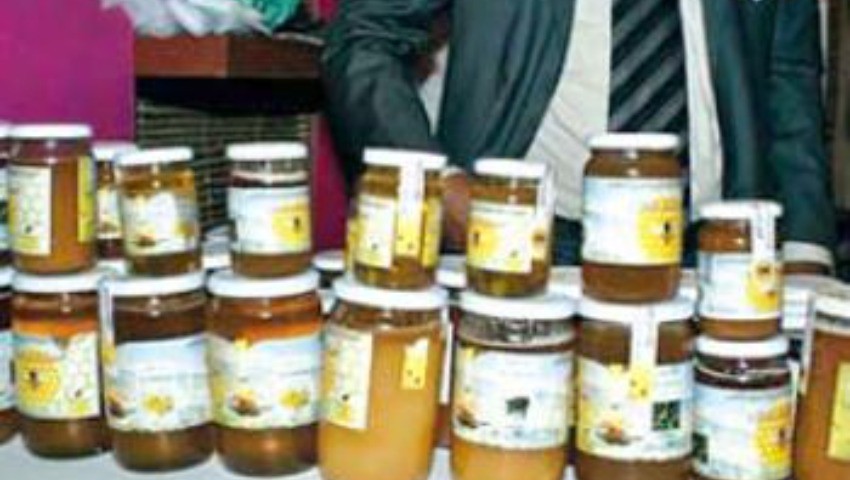 Béjaïa Le miel à 6 000 DA le kilo