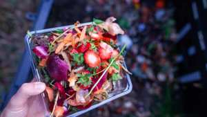 Planète (France/Europe) - De la table à la terre: Pour répondre à la réglementation sur les biodéchets, le compostage gagne du terrain