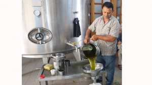 Les oléiculteurs de Bouira veulent Exporter leurs produits «Ce que nous attendons de l'État»