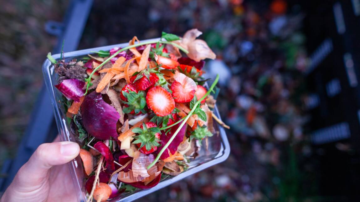 Planète (France/Europe) - De la table à la terre: Pour répondre à la réglementation sur les biodéchets, le compostage gagne du terrain