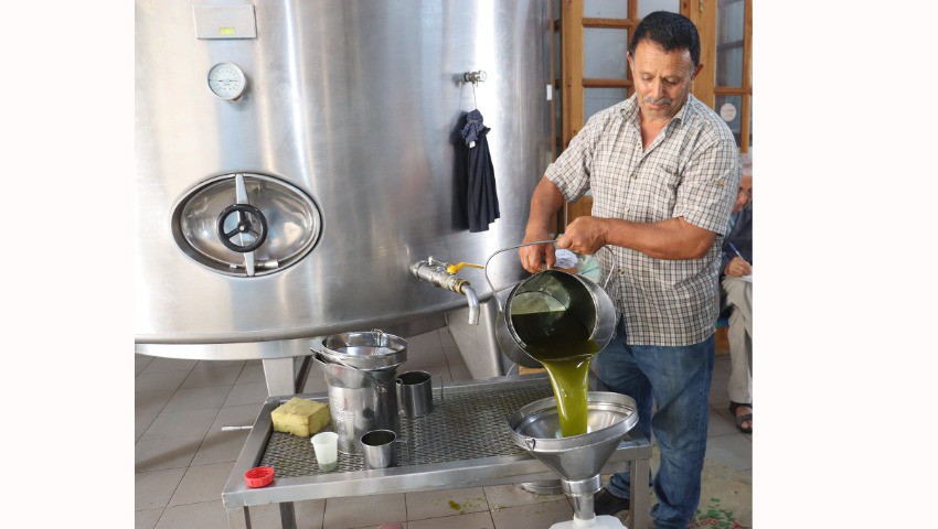 Les oléiculteurs de Bouira veulent Exporter leurs produits «Ce que nous attendons de l'État»