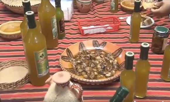 Portes ouvertes nationales sur les exportations d'huile d'olive