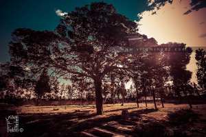Parution du livre d'Akila Kadaoui  Hassi Mefsoukh, village de mon enfance  L'AUTEURE L'A PRESENTE À MOSTAGANEM
