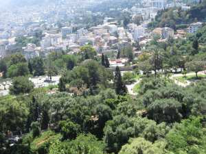 El Biar (Alger) -  Il faut sauver le jardin Tunis