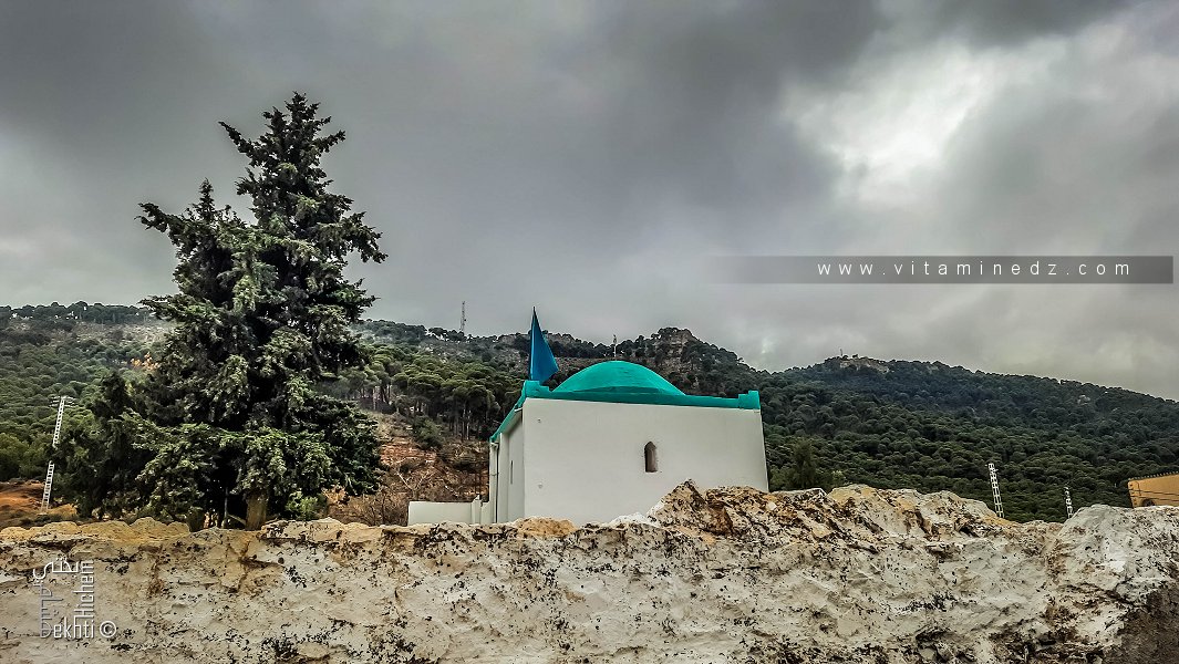 من هو المقاوم المقدم سيدي الطاهر بوطيبة