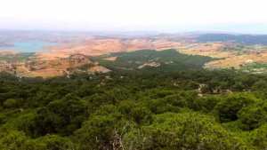 Algérie (Mostaganem) -  Pour une gestion durable des forêts