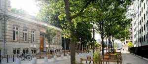 Planète - Canicules: les arbres pourraient réduire d’un tiers la mortalité