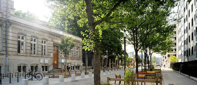 Planète - Canicules: les arbres pourraient réduire d’un tiers la mortalité