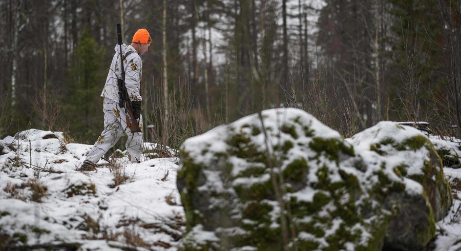 Planète (Suède/Europe) - Le gouvernement suédois provoque la controverse en autorisant le tir de 75 de ses 460 loups