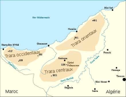 سيطرة قبيلة كومية التلمسانية و تقلدها الحكم في دولة الموحدين.