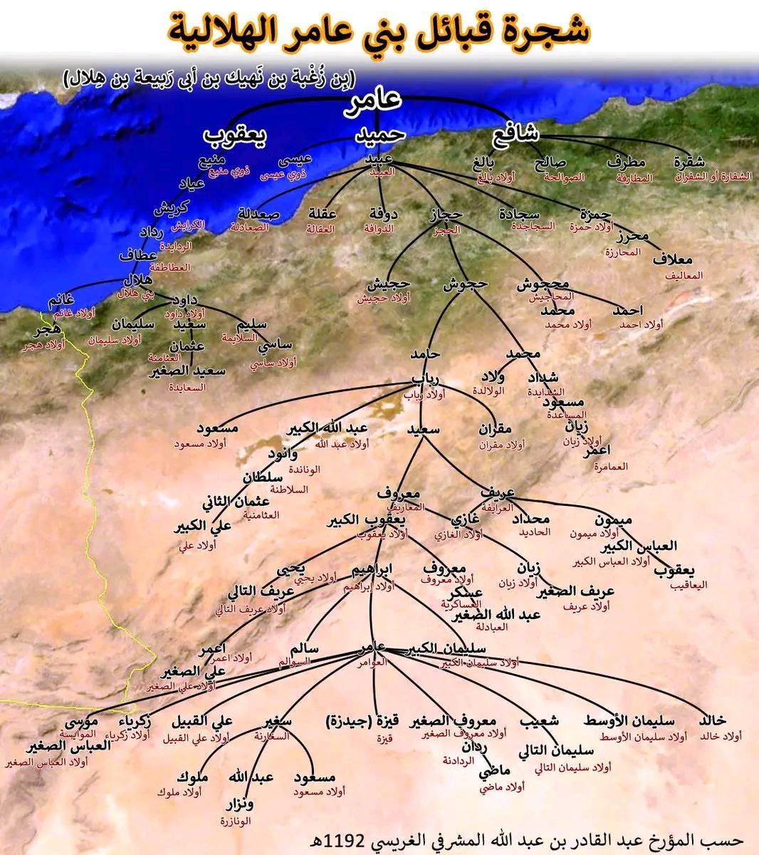 شجرة قبائل بني عامر الهلالية