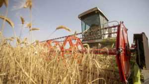 Les solutions pour promouvoir la sécurité alimentaire dans les pays arabes