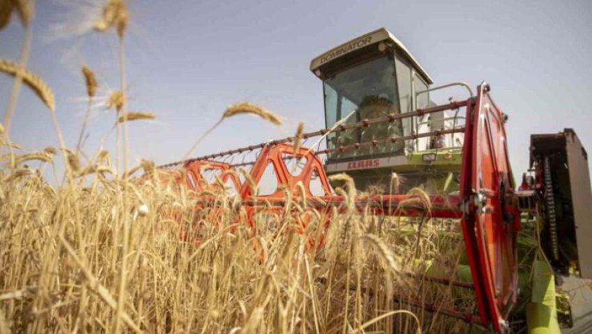 Les solutions pour promouvoir la sécurité alimentaire dans les pays arabes