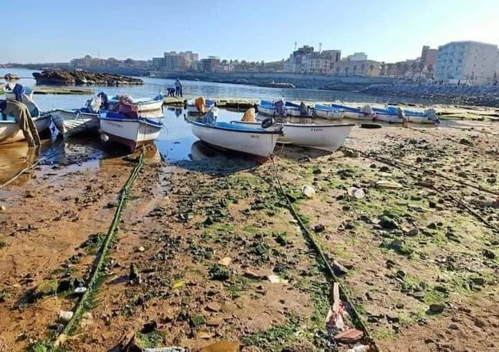 مـديـرية الثـقافة و الفنون لولاية جيجل  *** إعلان هام